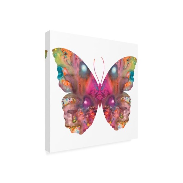 Dean Russo 'Abstract I Butterfly' Canvas Art,24x24